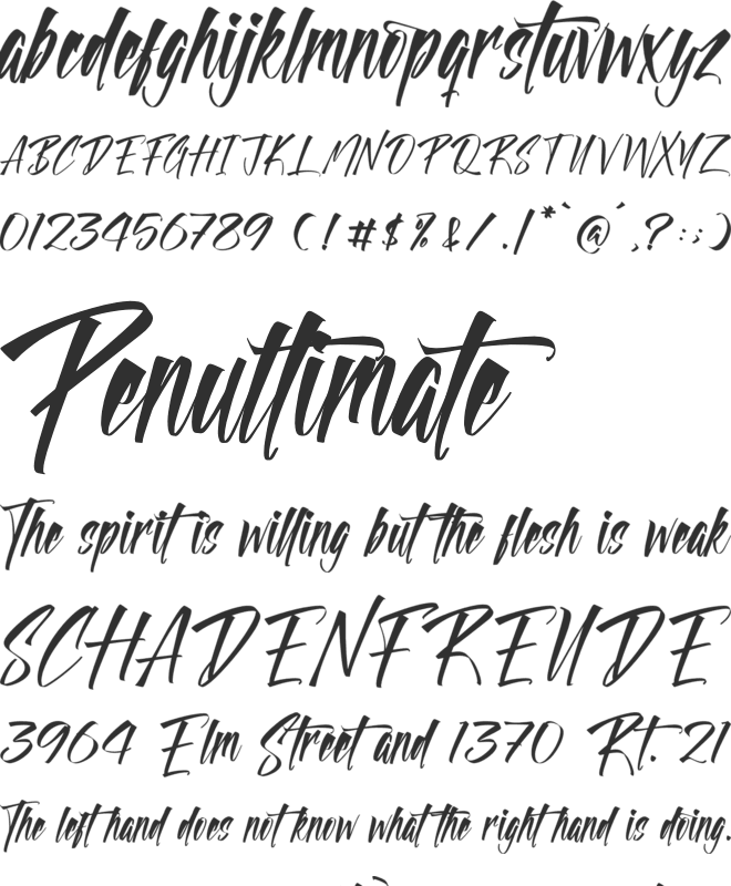 Gelaxttron Beyonkers font preview
