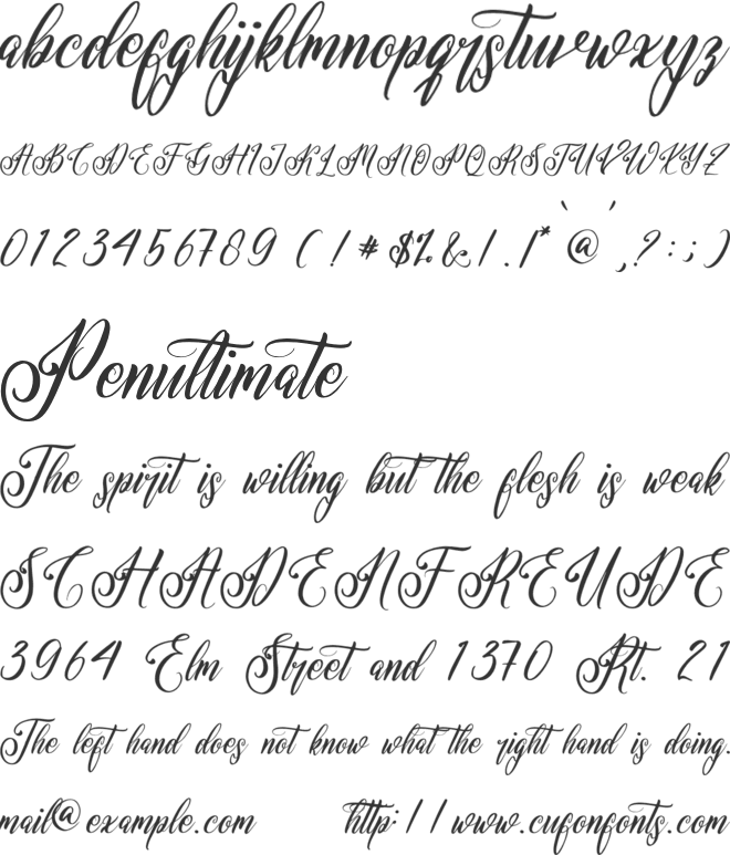 Elishanty Samantha font preview