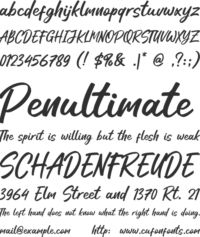 Windyear font preview