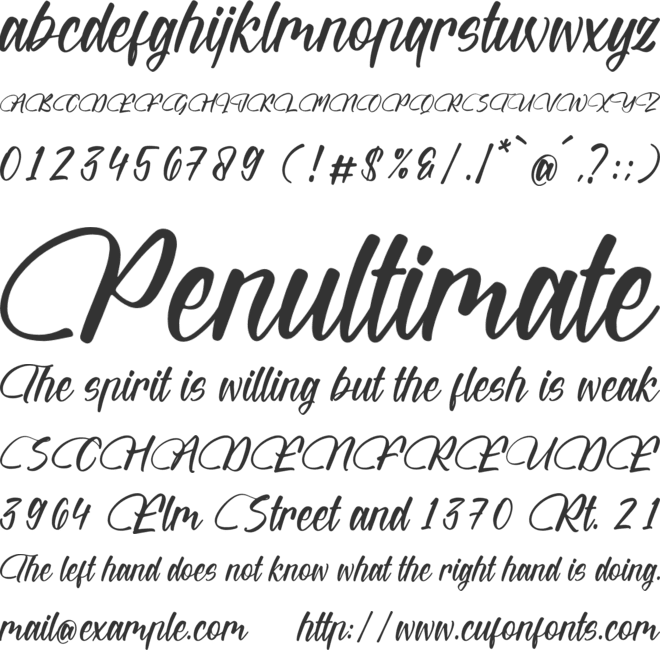Wintter Bronks font preview