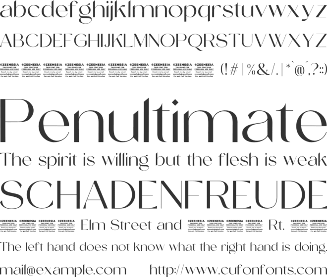 Tropical Avenue Personal Use On font preview