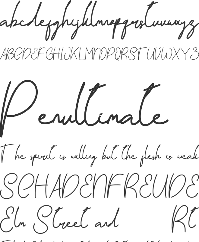 Adilla Paleeto font preview