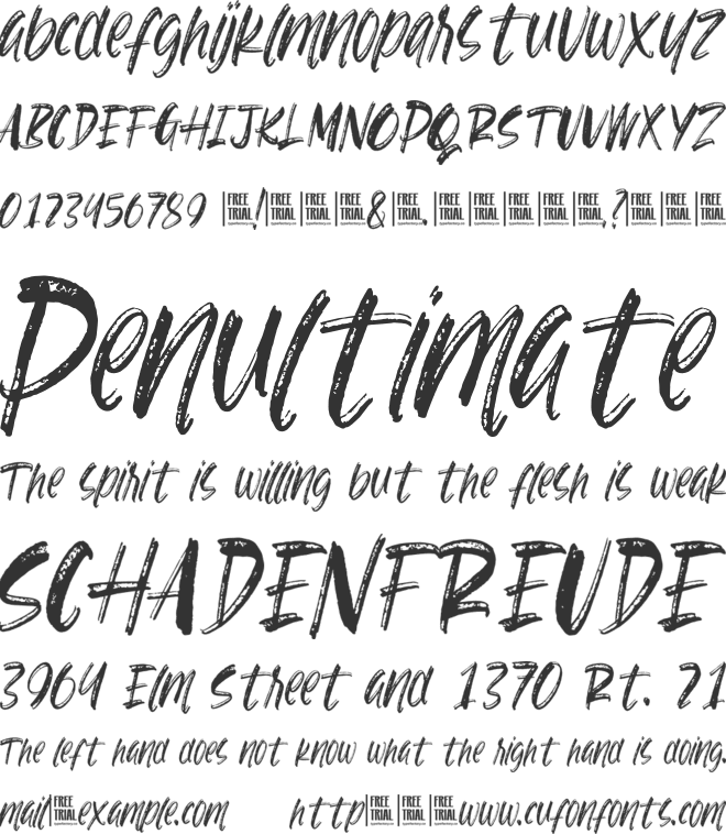 Risk Taker font preview