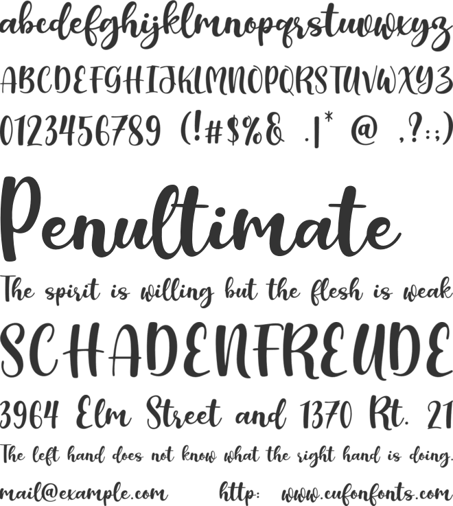 Rynda font preview
