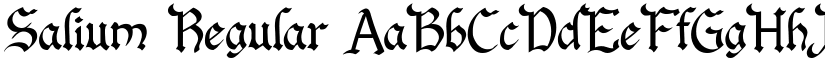 Salium font download