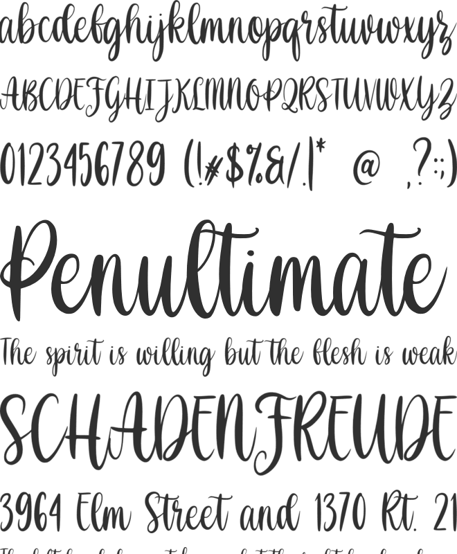 Shabina font preview