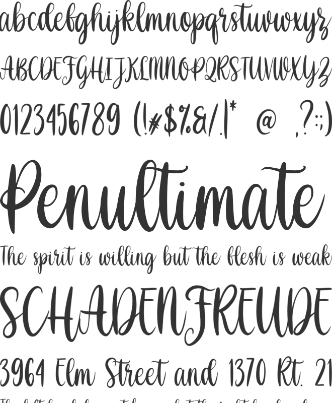 Shabina font preview