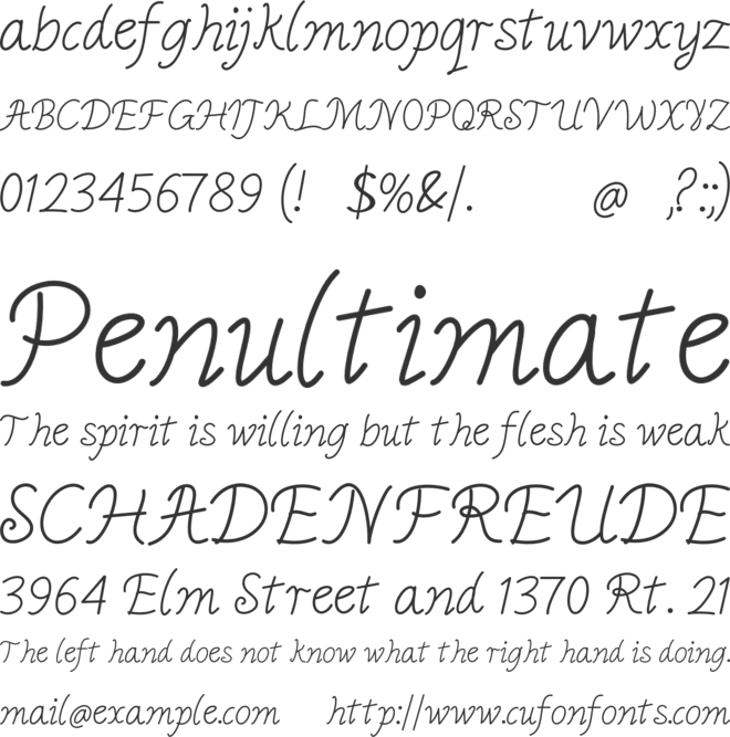 Raelina Jenkins font preview