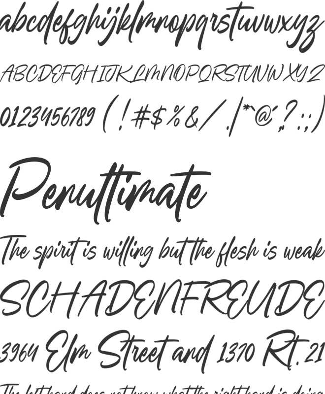 Sellinda Bright font preview