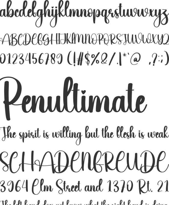 Wedding Dress font preview