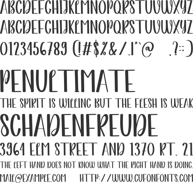 Crazy Rich font preview