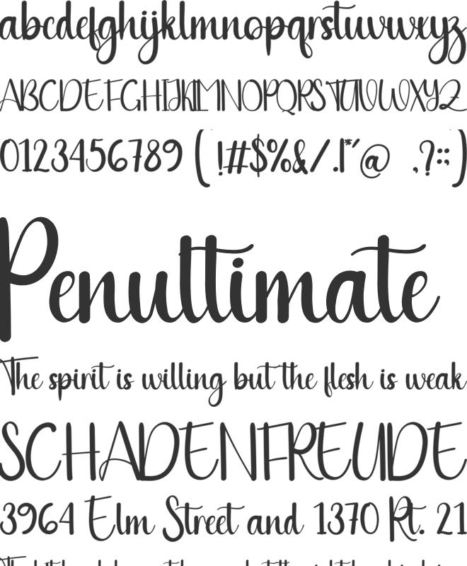 Winter Mountain font preview