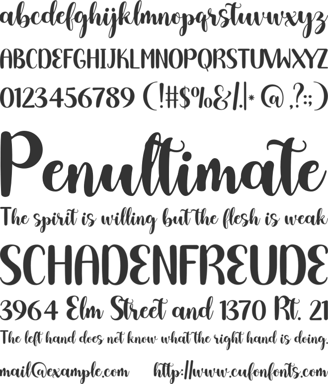 Selma love Lucas font preview