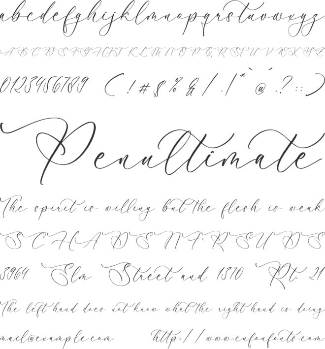 Augusthin Beatrice font preview