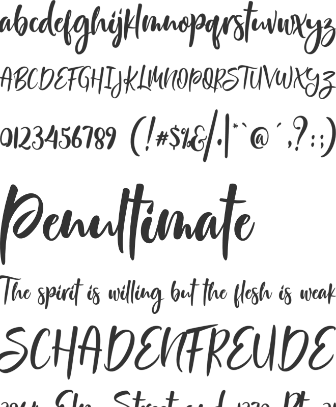 Mount Buller font preview