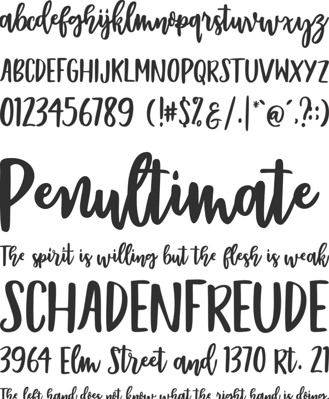 Bentonite Script font preview