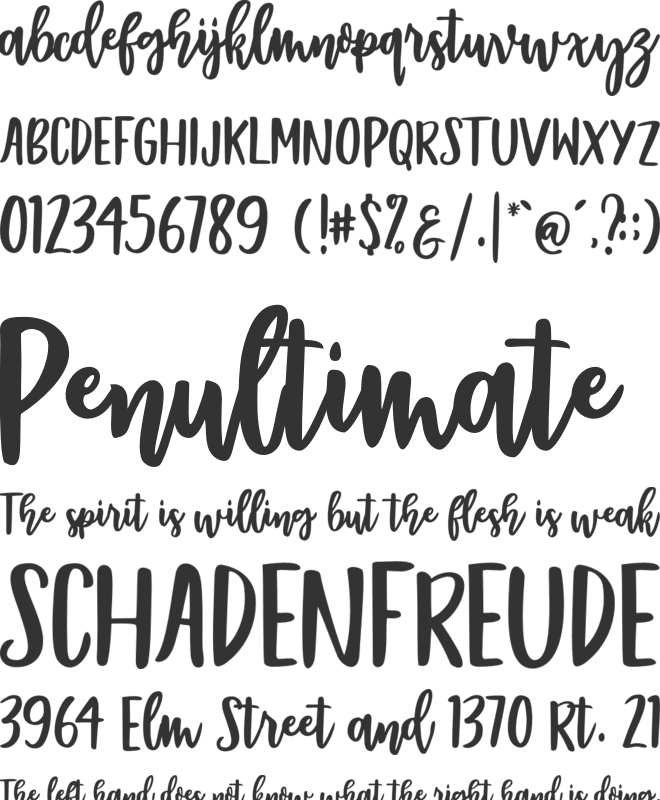 Bentonite Script font preview