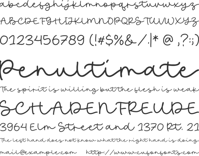 Austine Boutique font preview