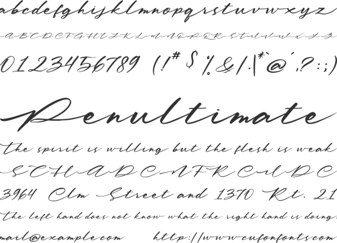 Yearling Spirit font preview