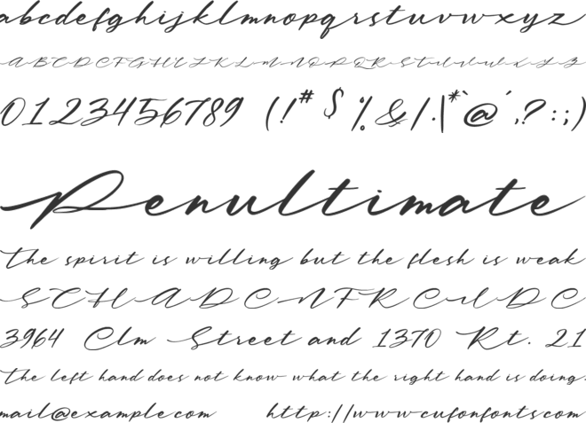 Yearling Spirit font preview