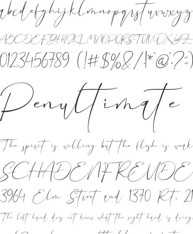 Sonia Evans font preview