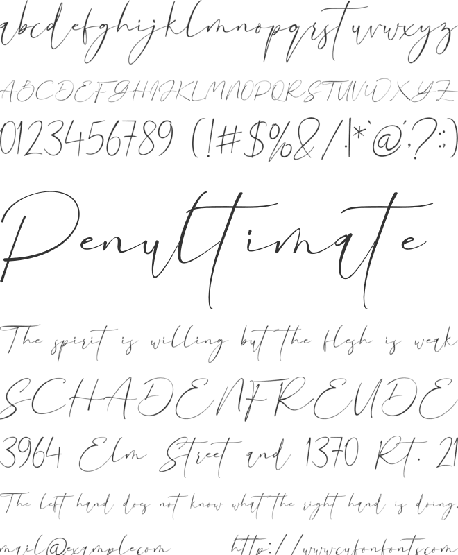 Sonia Evans font preview