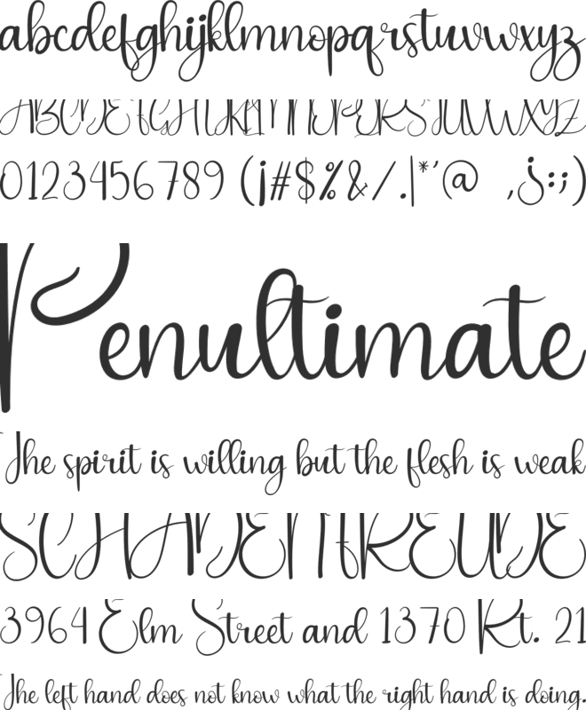 Life Style font preview