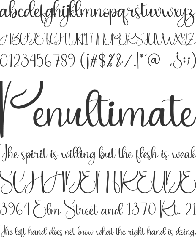 Life Style font preview