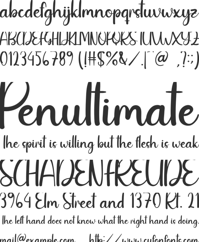 Before font preview