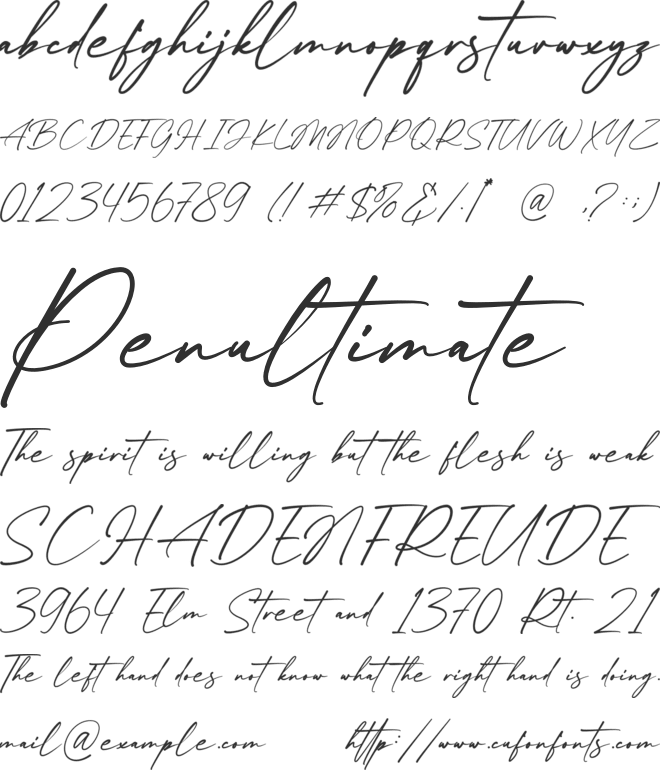 Bethany Avanue font preview