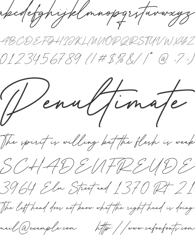 Brigitte Holmes font preview
