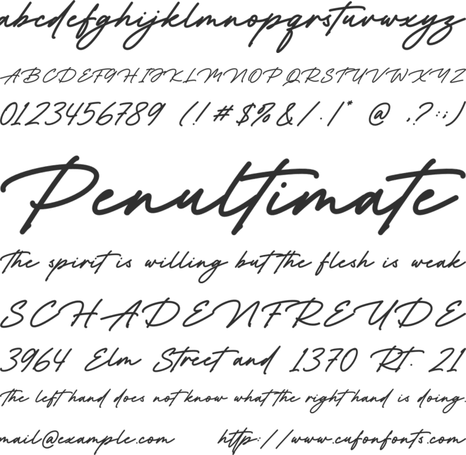The Patience font preview