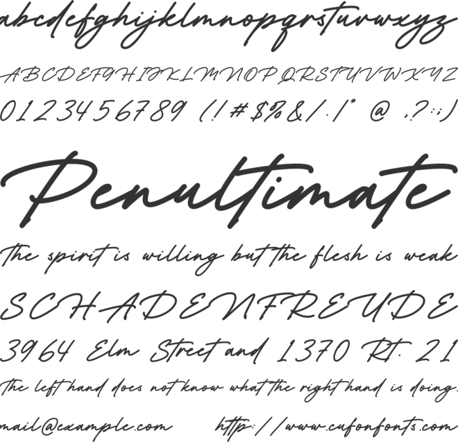 The Patience font preview