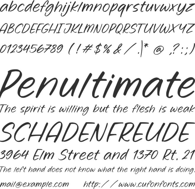 Ginger Rooted font preview