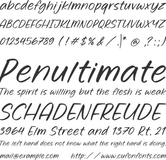 Ginger Rooted font preview