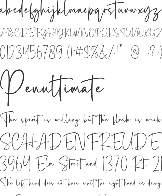 Bellysta font preview