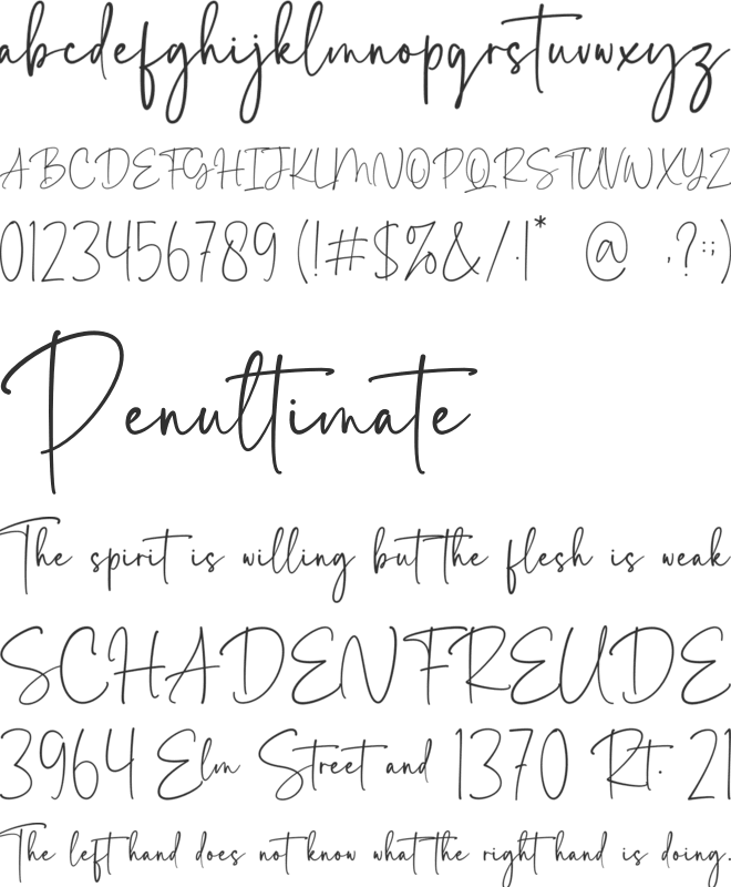 Anytta font preview