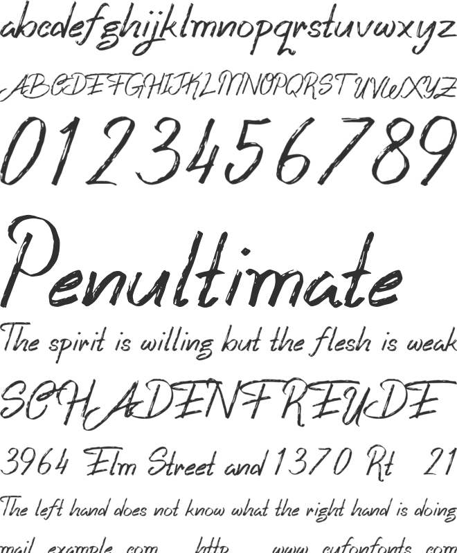 Clarezon Brush Personal Use font preview