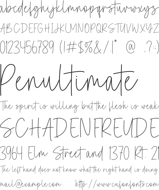 Charlotte Wilder font preview