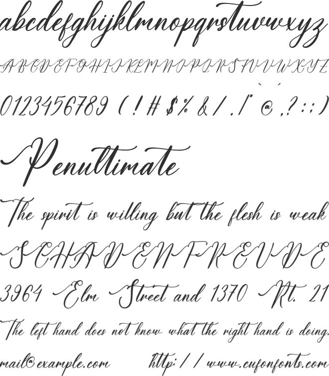 Amalfina Shinndy font preview