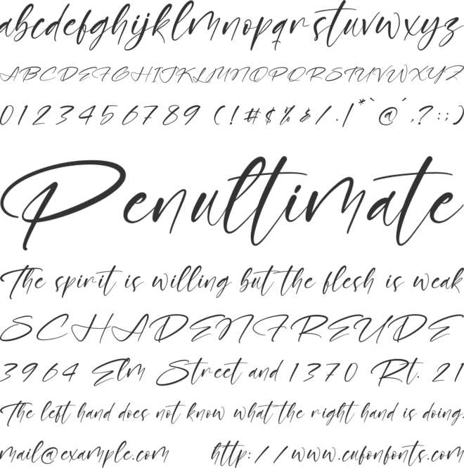 Boldatope font preview