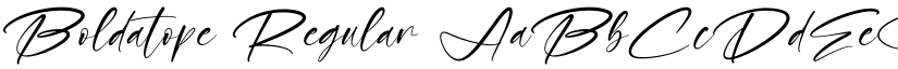 Boldatope Regular font