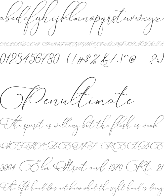 Rolland Honey font preview