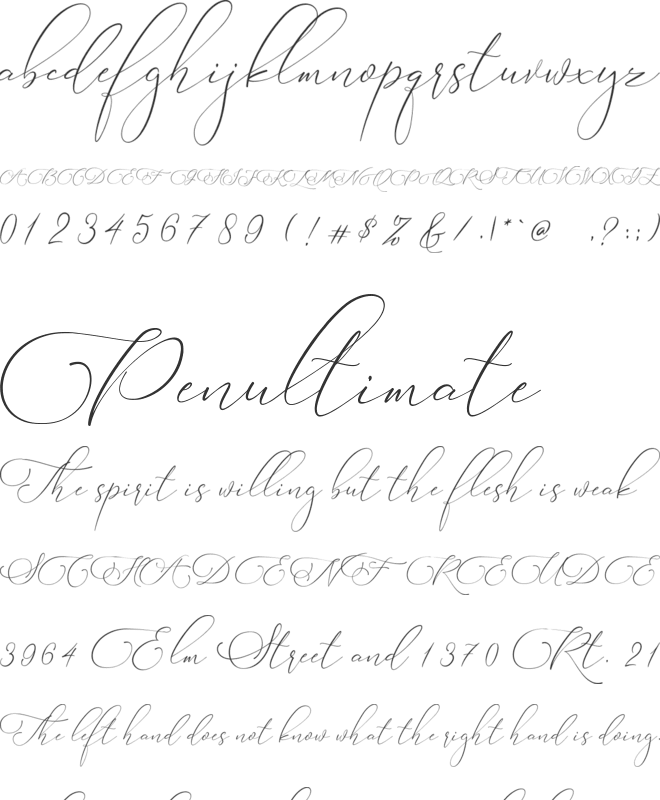 Rolland Honey font preview