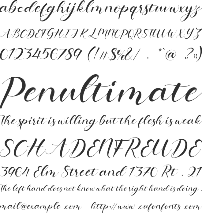 Hollyna font preview