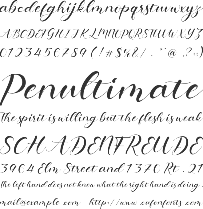 Hollyna font preview