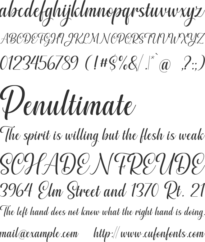 Mickey Carley font preview