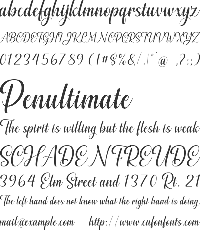 Mickey Carley font preview