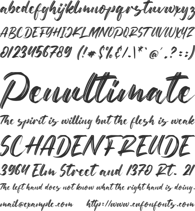 Netto Brushes font preview