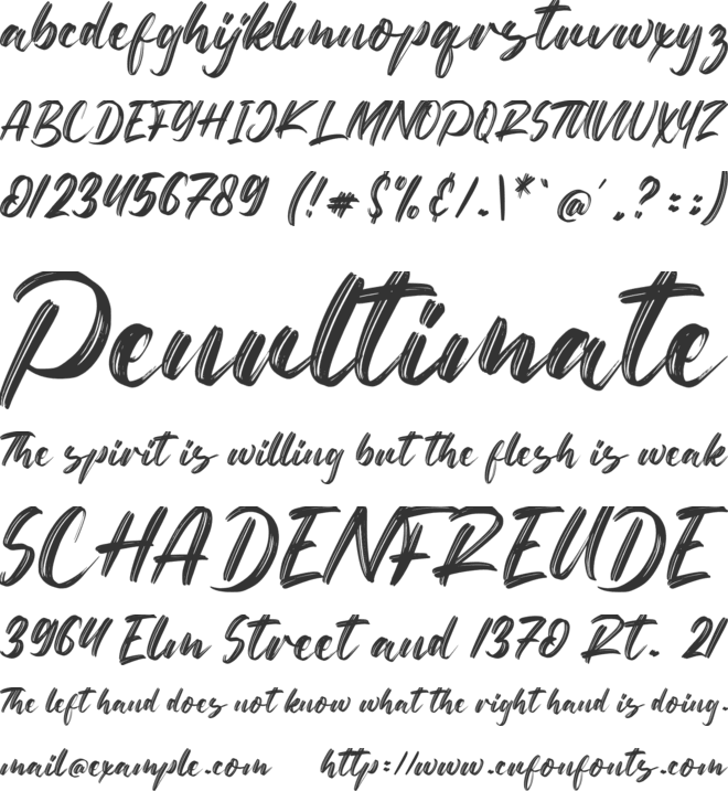 Netto Brushes font preview